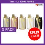 TESS-LV 12000 PUFFS – 5 PACK